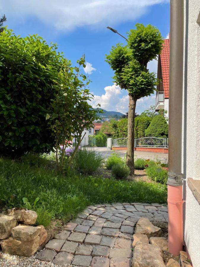 Ferienwohnung Wanderlust Klingenmunster Bagian luar foto